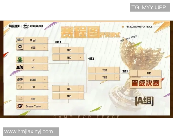 esports数据和平精英比赛经验排名V5创新高引发玩家热议与期待